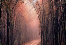 德国海报预热客战意大利:目标明确,期待见到超过3500名德国球迷.