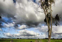 j9九游会：阿方索：拜仁冒险签下了年轻的我，与他们续约表明了我的热爱.