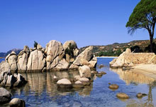 j9九游会：阿方索：拜仁冒险签下了年轻的我，与他们续约表明了我的热爱.